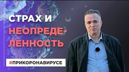 Страх и неопределенность | При коронавирусе