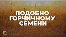 Подобно горчичному семени / Начни этот день с Богом (09.01.22) / утренняя молитва, духовный маяк