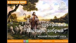 Кризис нравов | программа "Пастырь добрый"