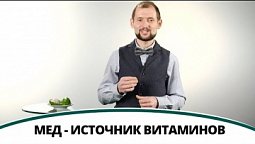 Мед - источник витаминов | Полезная минутка