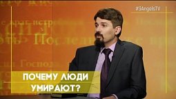 Почему люди умирают? | Тайна бессмертия