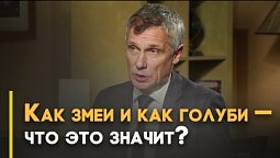 Мудрость и простота как черты христианина | Ответ за 5 минут