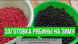 Черноплодная рябина рецепты на зиму с красной рябиной от центра здоровья "Живой источник"