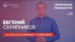 Как стать номером 1 в своём деле #24 | Территория реальности