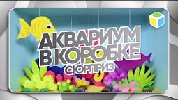 Как сделать АКВАРИУМ В КОРОБКЕ своими руками? Сюрприз!