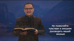 Лекарство от депрессии | Михайлов В. В.