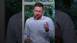 ❤️ 5 принципов прощения – путь к свободе