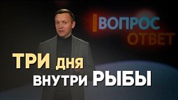 Какой пророк провёл три дня в желудке у кита и почему? | Вопрос - Ответ