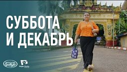 Вести Надежды | Суббота и Декабрь | 21.06.2025