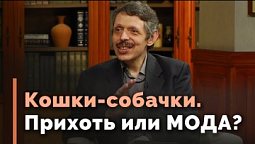 Зачем человеку домашние животные? | Тайна жизни