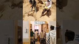 Раскапывая прошлое.