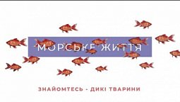 Морське життя | Знайомтесь, дикі тварини