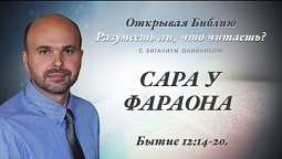 САРА У ФАРАОНА. Бытие 12:14-20.