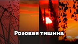 Розовая тишина | С любовью к русской природе