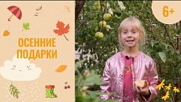 Осенние подарки. Чудеса каждый день. 13 серия (6+)