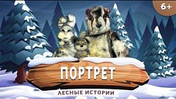 Портрет Большой лапы | Лесные истории (6+)