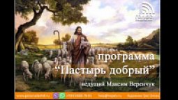 Десятисловие. Не убей или боремся за жизнь | программа "Пастырь добрый"