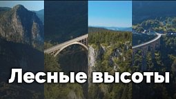 Лесные высоты | С любовью к русской природе