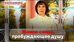 Библия: свет в темноте разума | Прикосновение