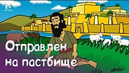 Субботняя школа для детей (В) 4-й квартал, урок 8: "Отправлен на пастбище" | 18/11/2023