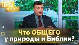 Пути познания Бога | Путь ко Христу