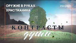 Оружие в руках христианина #541