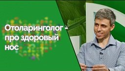 Как сохранить здоровье носа? | Здравствуйте