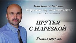 ПРУТЬЯ С НАРЕЗКОЙ. Бытие 30:37-42.