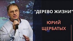 Юрий Щербатых — Дерево жизни